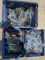 🥳3 Kisten🥳 》Tierpflege Bürsten und Kämme neu und original