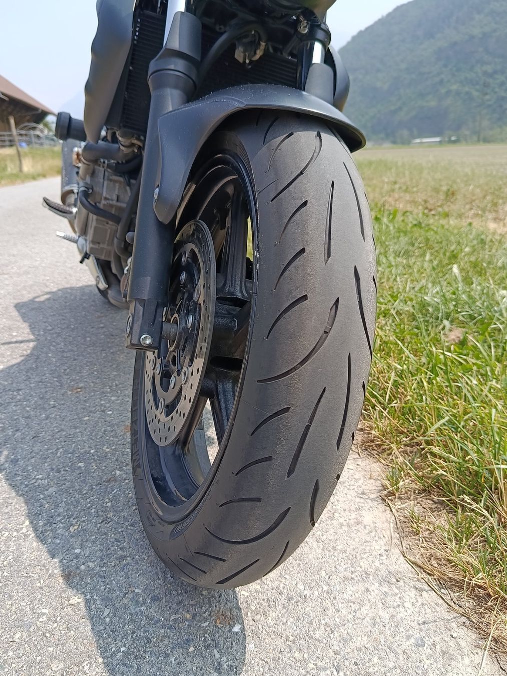 Suzuki Strada: Suzuki Gladius 650,   25 kW – Usato da Visp venduto da gun_bhm7 3