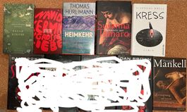 24 Romane, Büchersammlung