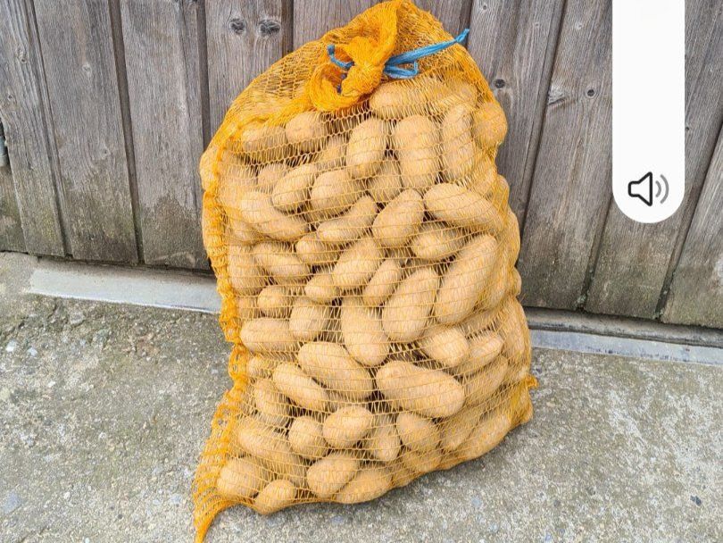 Cibi & Specialità: Speisekartoffel  25 kg – Usato da salmsach venduto da gsel