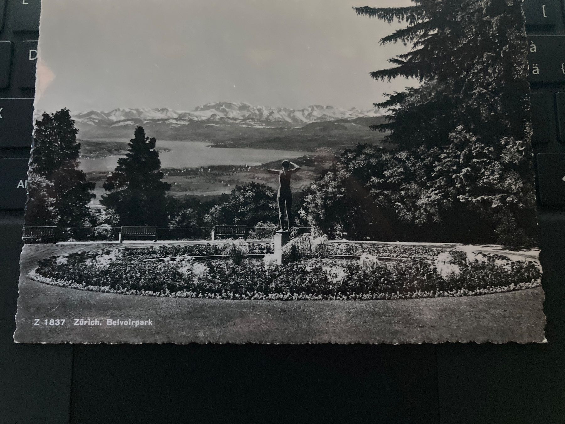 Ansichtskarten: Zürich - Belvoirpark ca. 1960 – Gebraucht aus Zürich von Ralfli