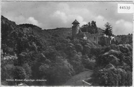 Schloss Birseck-Ermitage - Arlesheim