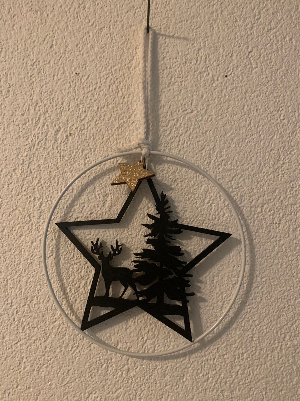 Toutes les décorations: Advent Hänger Stern im Ring – D'occasion à St. Gallen par Miousch 1