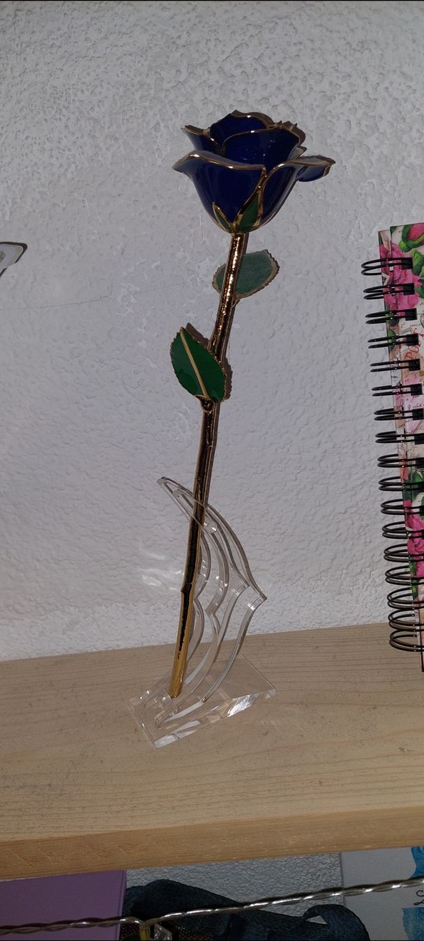 Alle Dekorationen: Ewige Rose – Neu (gemäss Beschreibung) aus Chapella von lar_d2p6 1