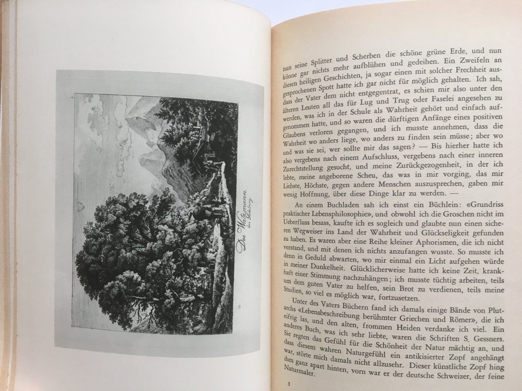 Libri: Lebenserinnerungen eines deutschen Malers - Ludwig Richter – Usato da Grenchen venduto da Kogi7 5