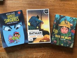 Lot 3 BD genres et formats particuliers