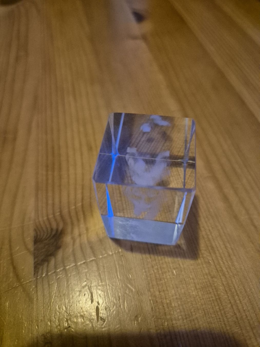 Alle Dekorationen: Winter Deko: Glaswürfel mit Tiger - ein echter Hingucker! – Neu (gemäss Beschreibung) aus Wolhusen von ima_2jjx 4