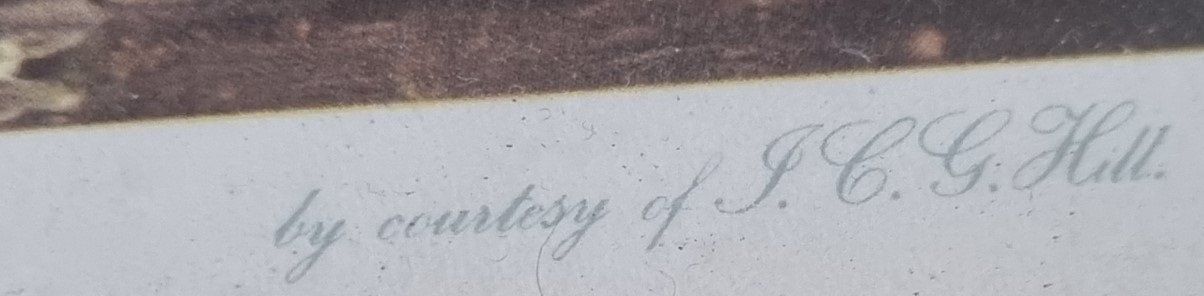 Foto & Immagini: Kunstdruck SS Great Britain J. Walter um 1847 – Usato da Flums venduto da Flumsantik 8