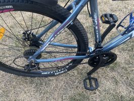 Damen Velo Totem Angel guter Zustand