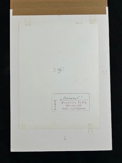 Foto & Immagini: Originalfotografie Drahotin Sulla "Osamelost" – Usato da Eschenbach LU venduto da rog_y5bx 1