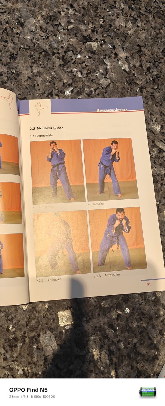 Libri: Ju-ajutsu effectives training – Usato da stallikon venduto da Dalacoke 3