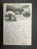 AK 1896 Souvenier de Vevey Litho  (G2939)