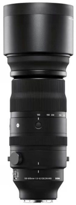 Sigma Obiettivi: Sigma Teleobjektiv 150-600 mm 1:5-6.3 DG DN – Usato da Amriswil venduto da Schsam