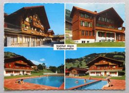 Institut Alpin, Videmanette