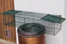 Cage de capture pour petits animaux, d'occasion, verte