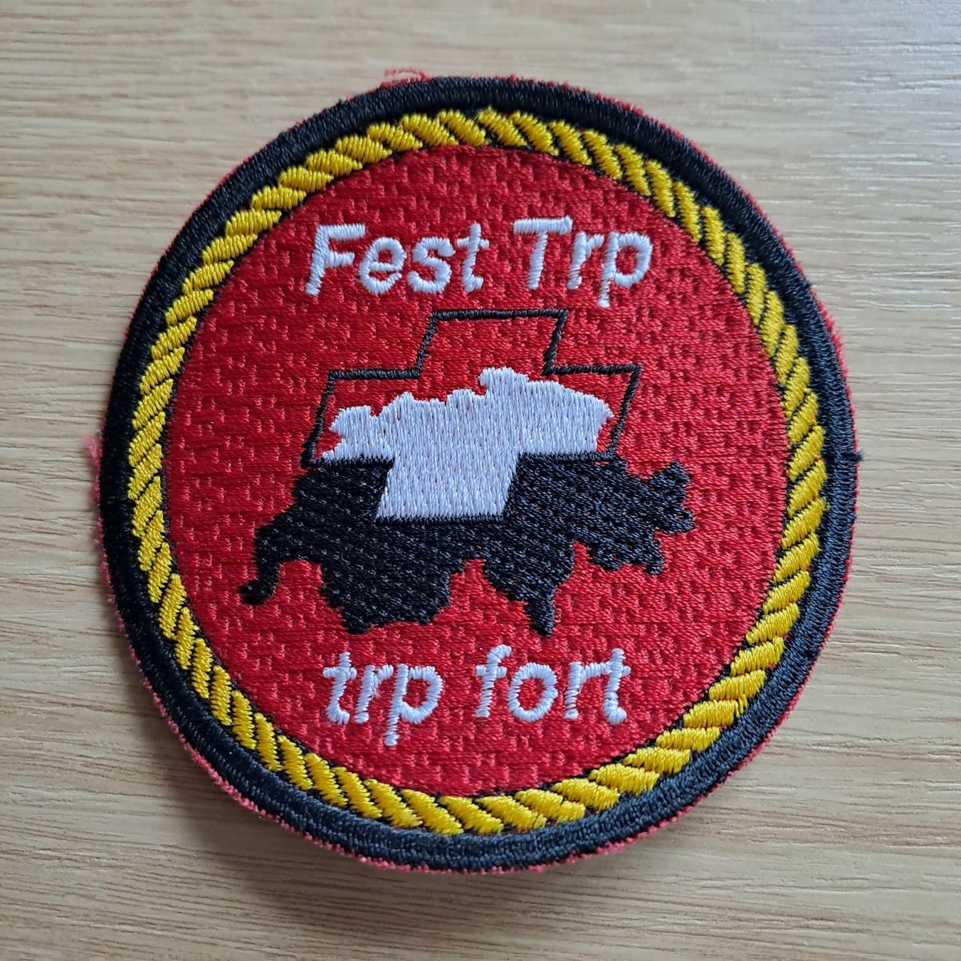 Schweizer Armee Plaketten & Abzeichen: Festungs Truppen – Neu (gemäss Beschreibung) aus Gipf-Oberfrick von Mig_29