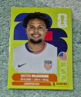 USA 10 Panini FIFA WM 2026