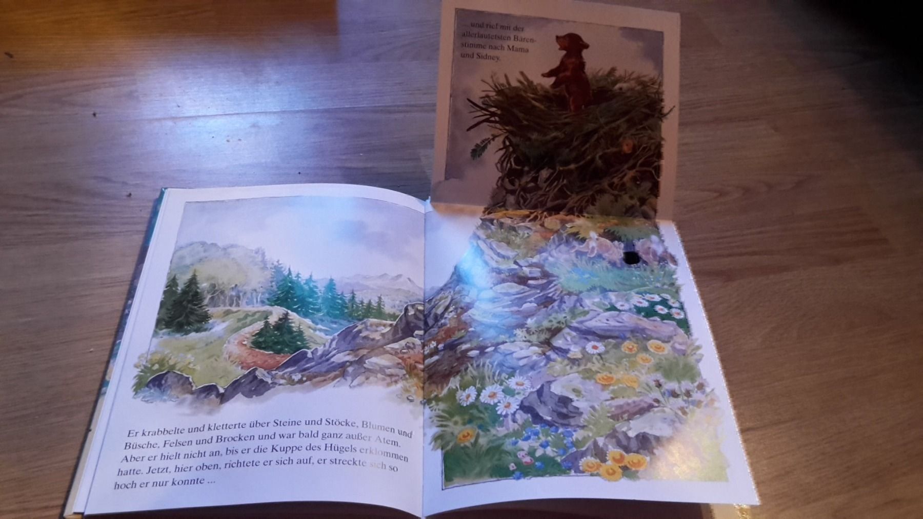 Libri: Buch Lennard der Bär – Nuovo (secondo la descrizione) da Schwarzenburg venduto da Flamingo07 1