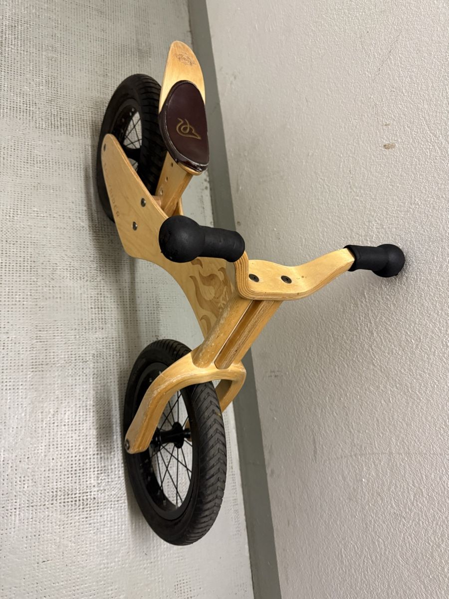 Early Rider Biciclette: Early Rider – Usato da Basel venduto da nl5_6bbx 1