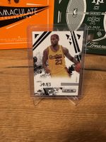 LeBron James RS