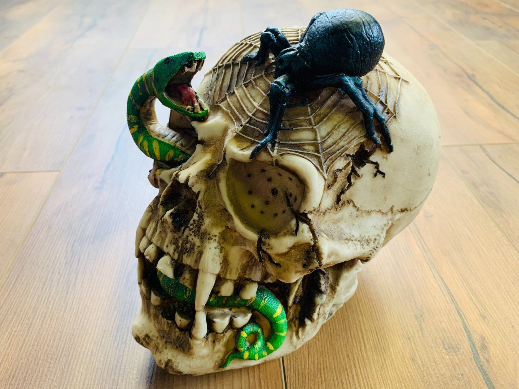 Sculture & Statue: Totenschädel Schädel SKULL Spinne 22cm NEU – Nuovo e nell'imballaggio originale da Bergdietikon venduto da shopAgent 2