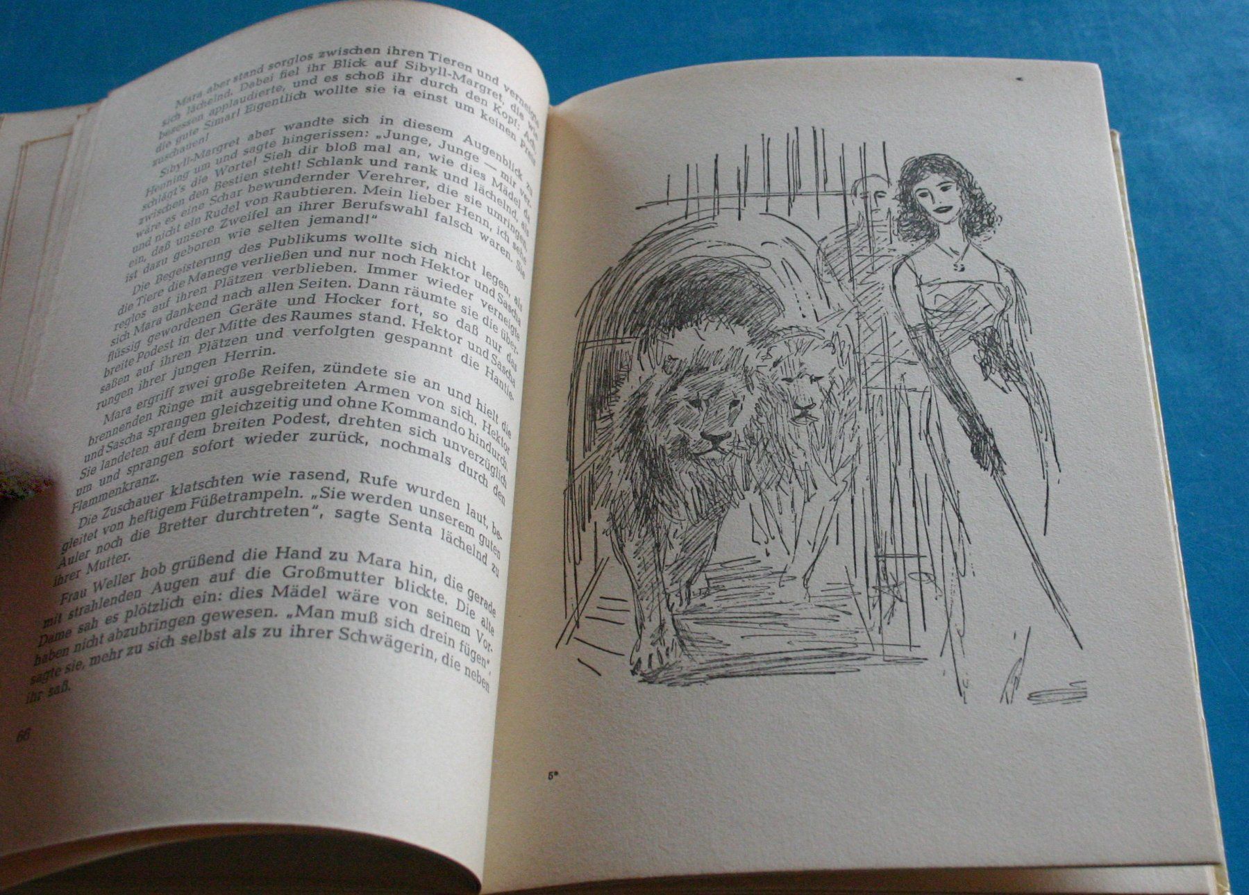 Libri: Zirkus Circus Mara Weiss, was sie will – Usato da Winkel venduto da franzxaver60 2