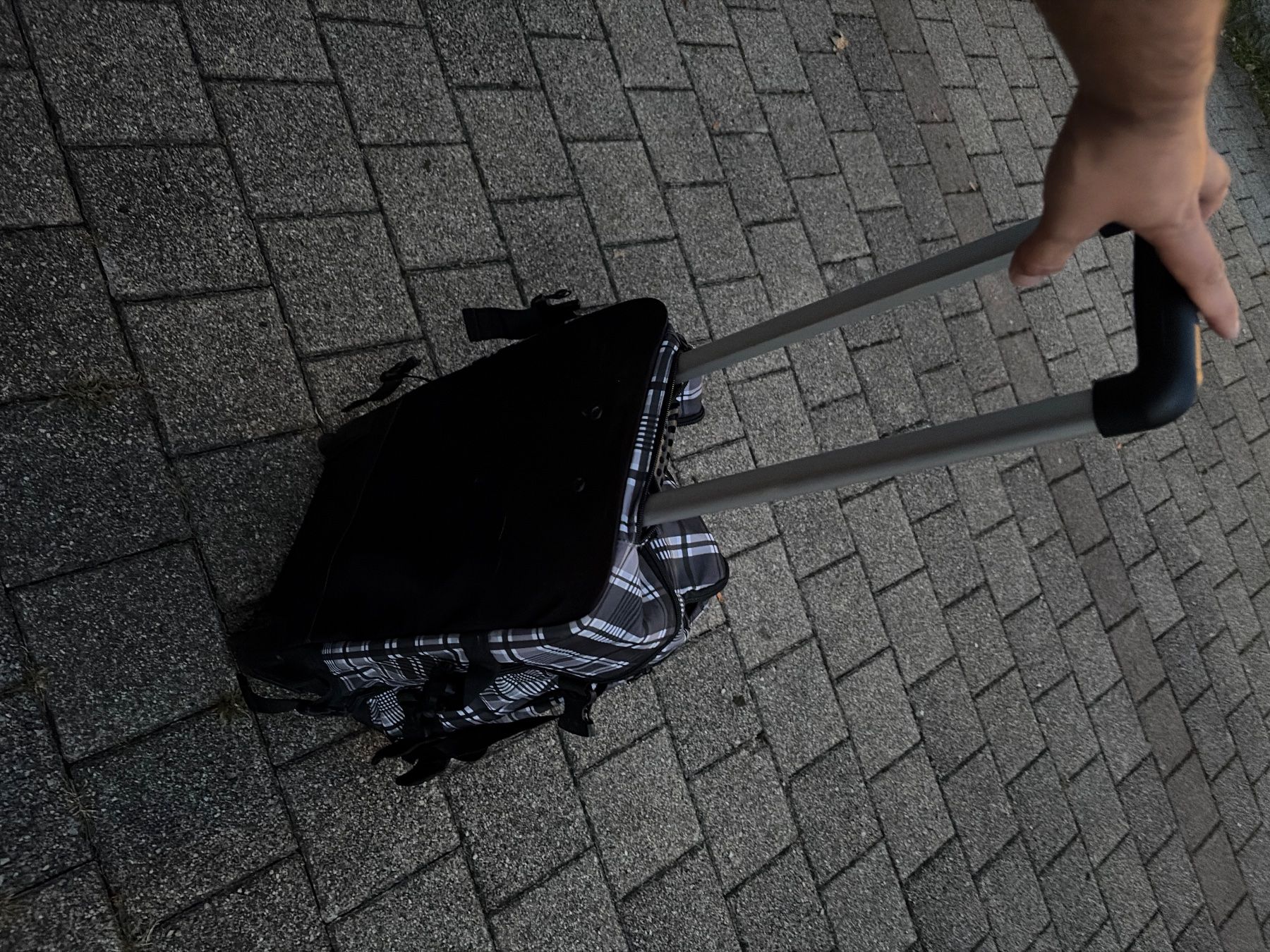 Taschen: Transporttasche 3-4 Facher – Gebraucht aus Illnau von fazzze3 2