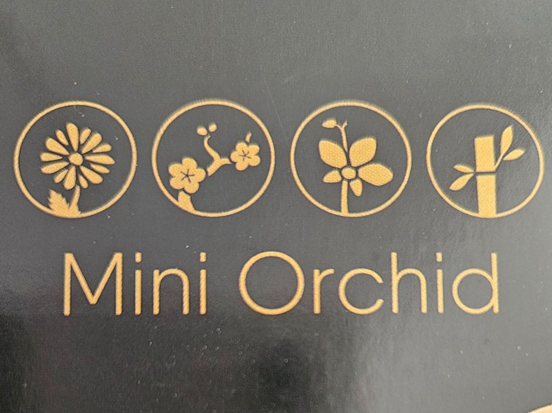 Lego Kit di costruzioni: Orchideen-Modell – versiegelt – Nuovo e nell'imballaggio originale da Chur venduto da gutgutgut 5