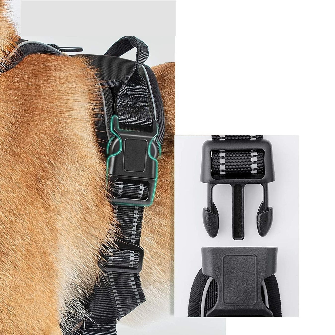 Guinzagli & Collari: EXA Hundegeschirr mit 2 Ringen - Grösse M – Nuovo e nell'imballaggio originale da Werdenberg venduto da EXA-Animal-World 2
