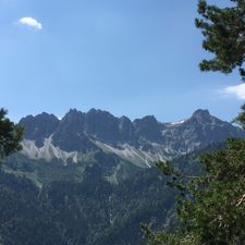 Profile image of Alpenfloh