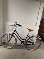 Siech cycle comfy 8 speed