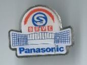 SRVE Panasonic, Pin