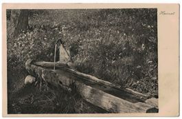 Schiers - Maria, gelaufen 1924 (Mischol)