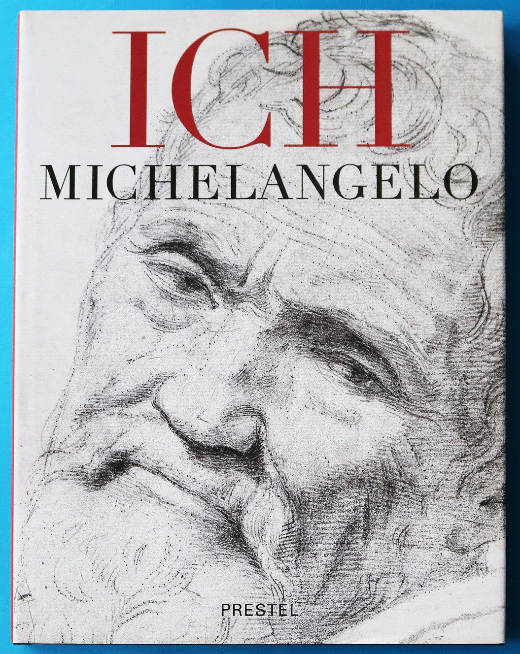 Bücher: Michelangelo – Gebraucht aus Bern von imp_kln9