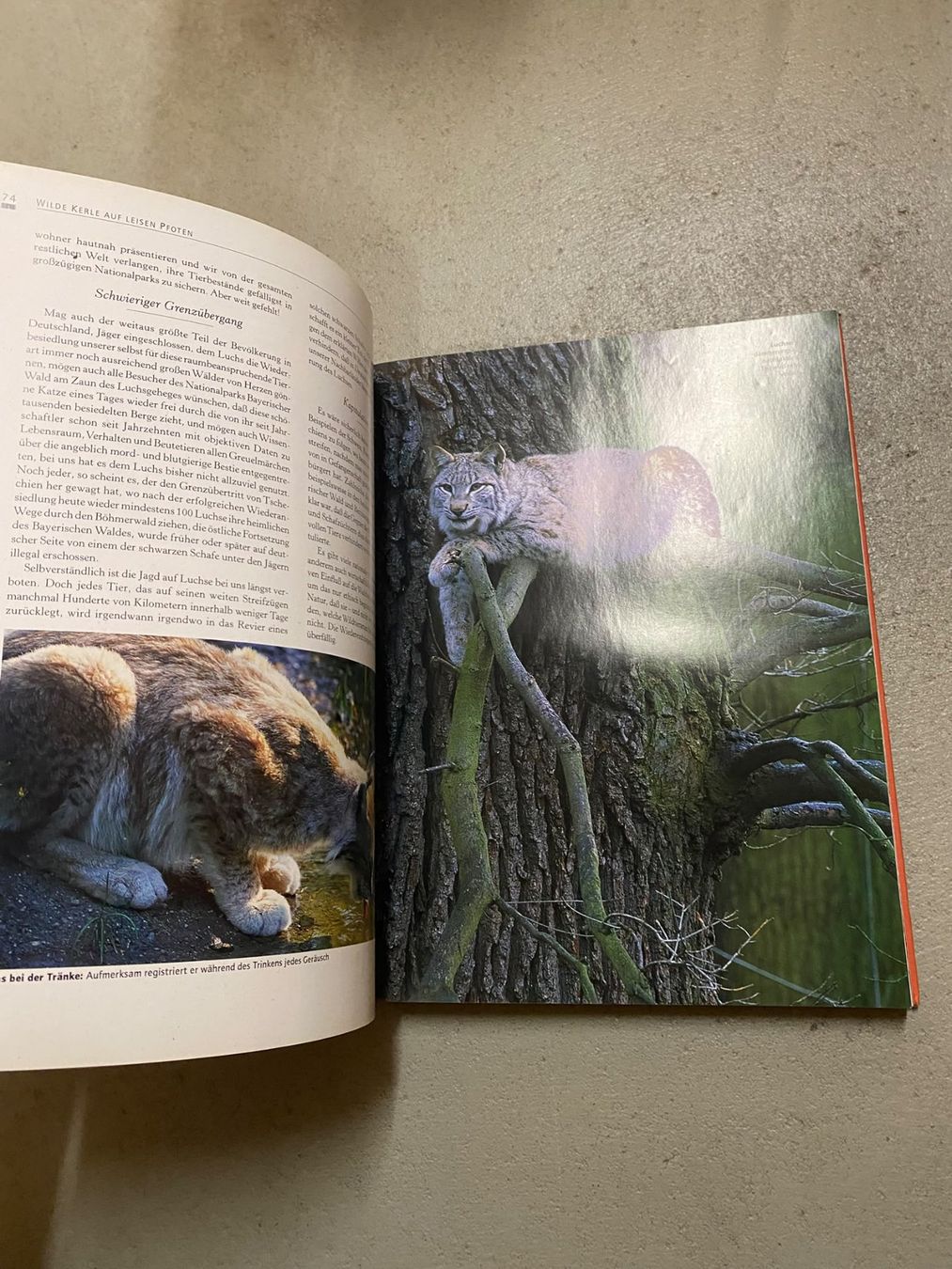 Libri: Expedition ins Tierreich Buch – Usato da Zürich venduto da luc_z8d5 2