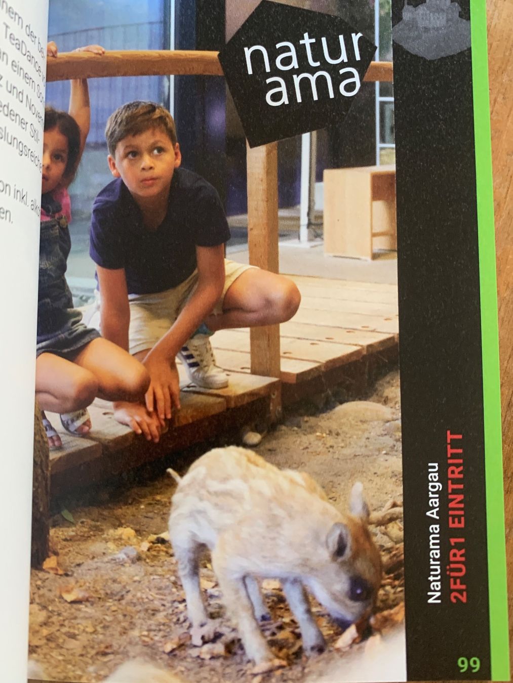 Buoni: Naturama Aargau 2for1 Eintritt – Nuovo (secondo la descrizione) da Wildegg venduto da Elefant42