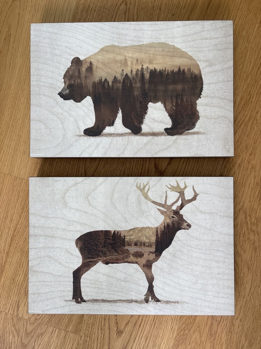 Foto & Immagini: 2 Bilder - Bär u. Hirsch – Nuovo (secondo la descrizione) da Horgen venduto da jon_8hyw