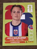 Panini WM 2026 - NOR 12 Sticker  🇳🇴⚽️