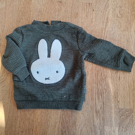 Pullover Grösse 62