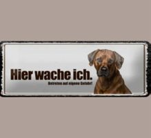 🔥 RHODESIAN RIDGEBACK Blechschild 🎀 27x10cm OVP 🔥