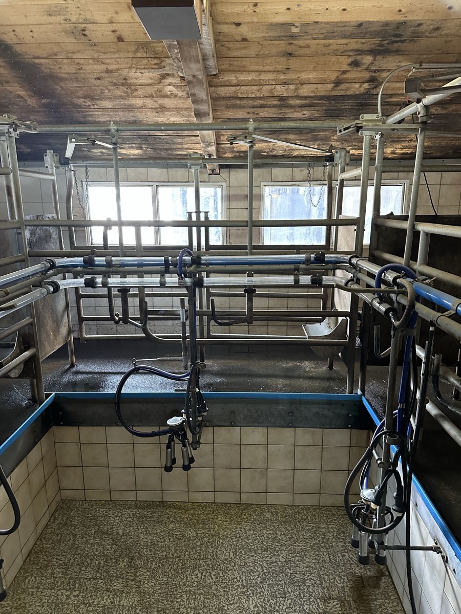 Delaval Tutte le macchine: Melkanlage – Usato da Klosters Dorf venduto da armin94 1