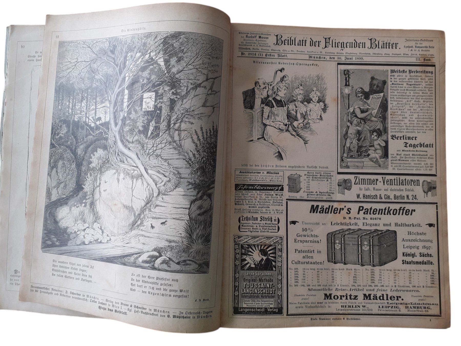 Libri: Fliegende Blätter Satirezeitschrift um 1850 – Usato da Mörschwil venduto da aik_x8mc 9