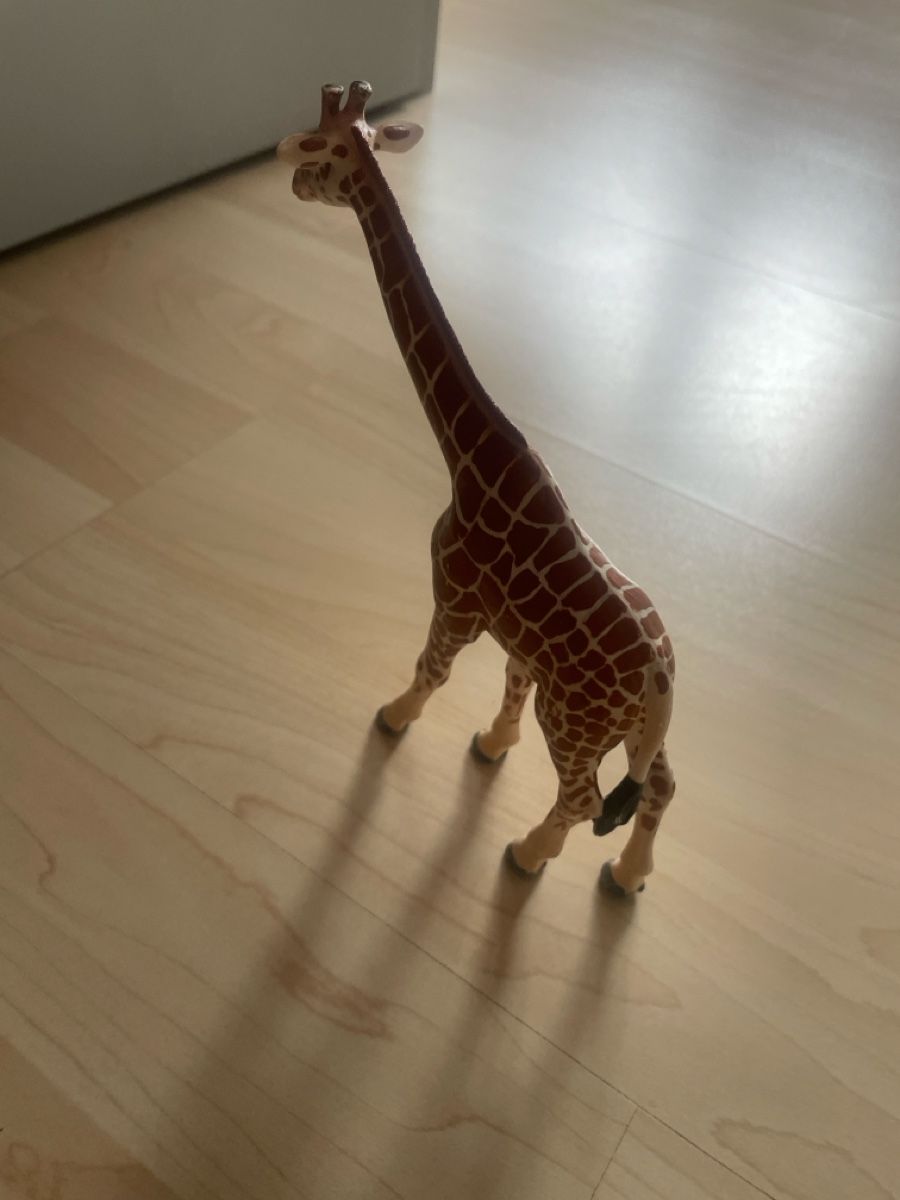 Schleich Statuette: Schleich Giraffe Figur guter Zustand – Usato da Wil Sg venduto da mil_r9gx 1