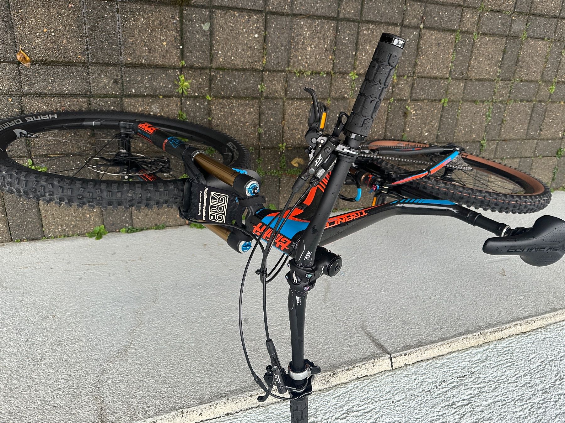 Giant Biciclette: Giant  Trance Advanced 1 CARBON – Usato da zürich venduto da Eltons 3