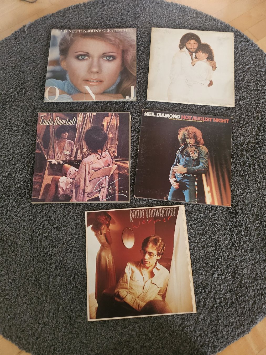 Schallplatten: Schallplatten Sammlung 5 Stück  – Gebraucht aus St. Gallen von Cocos_Ricardo