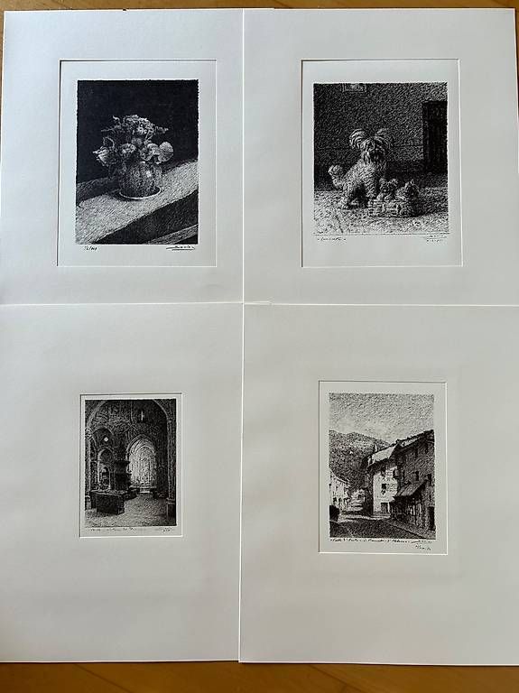 Libri: Quinto Savio "Cartella B" Kunstmappe – Nuovo e nell'imballaggio originale da Zug venduto da HelenOL 4