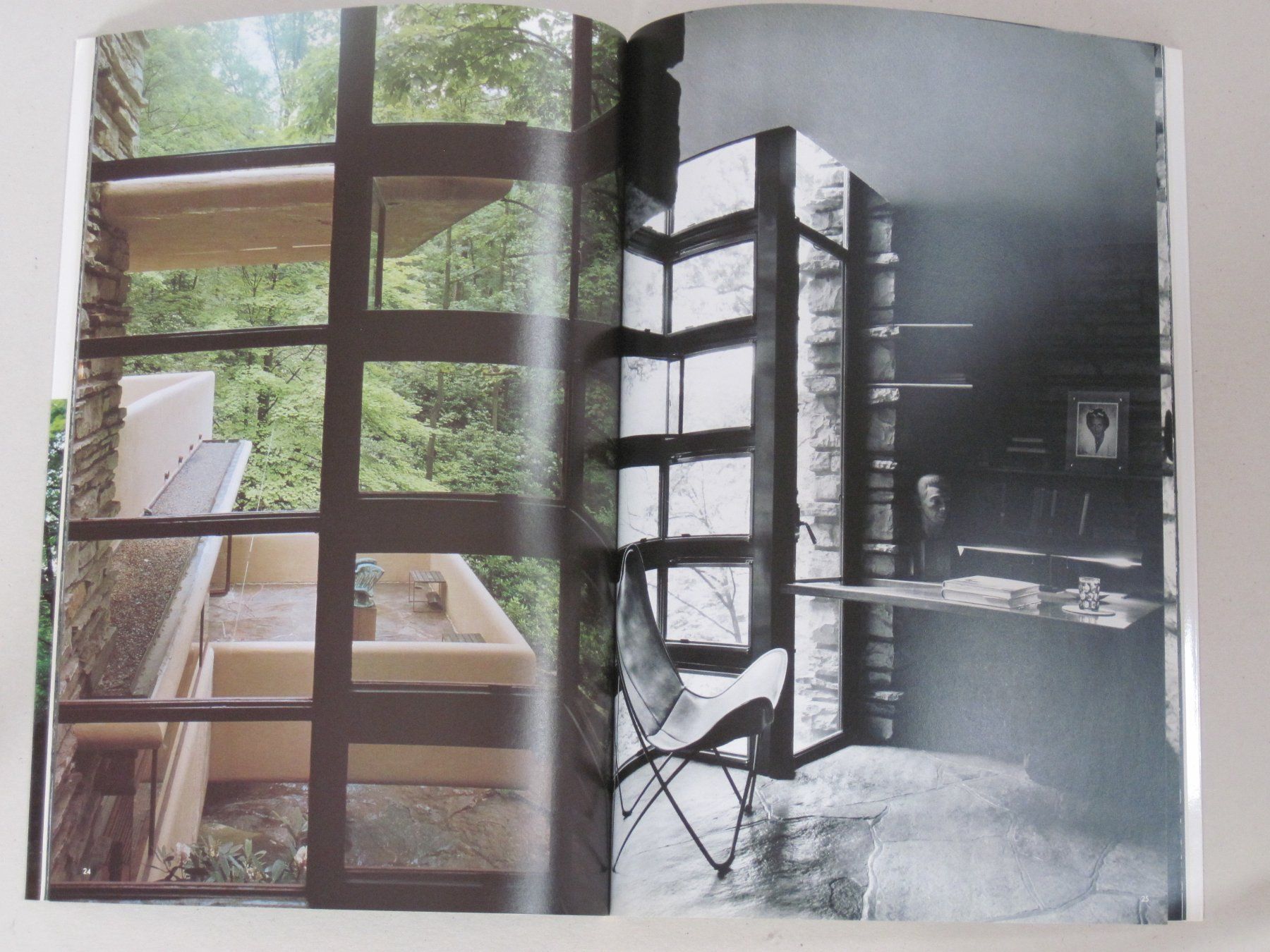 Libri: Frank Lloyd Wright Fallingwater – Usato da Feuerthalen venduto da mam_5l7b 5