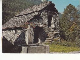 Frasco 1986
