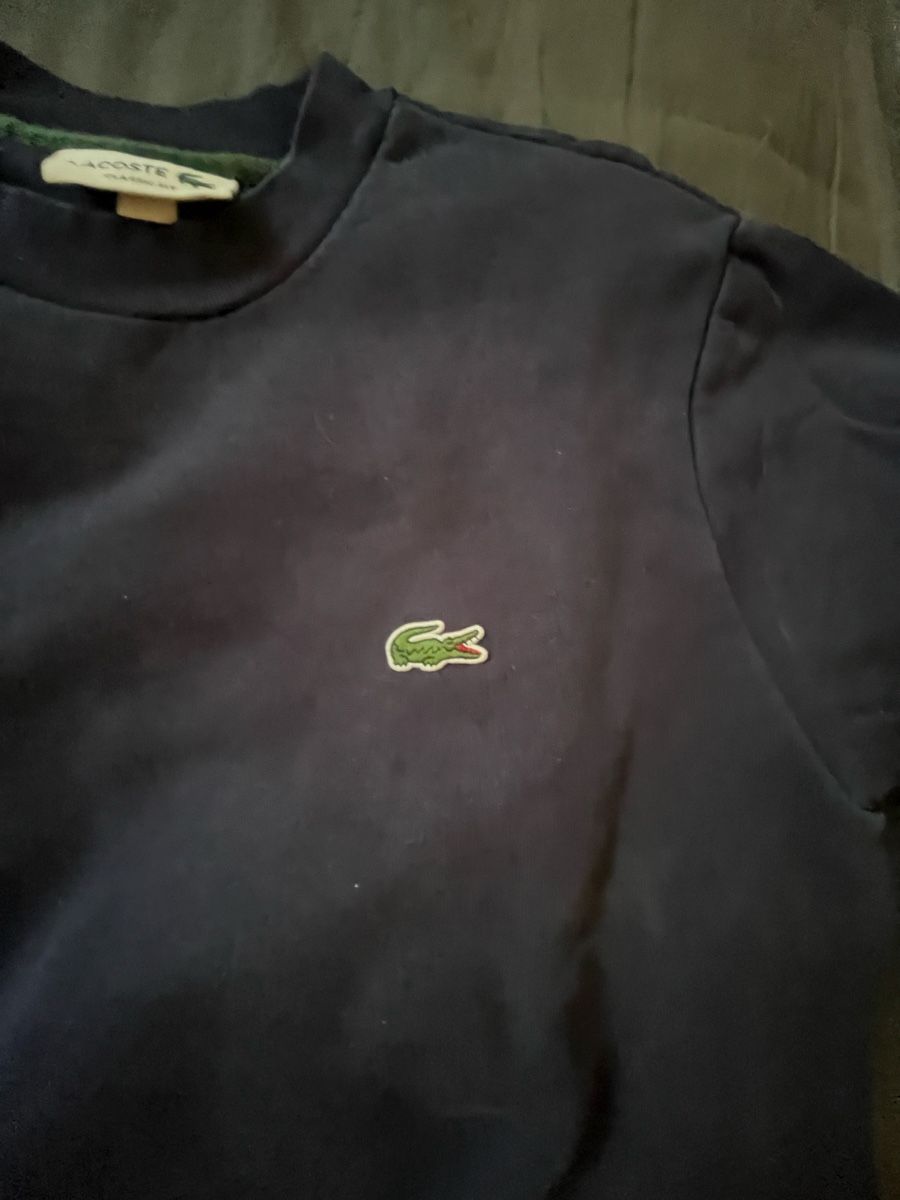 Lacoste Maglioni & Felpe: Lacoste Pullover – Usato da Zürich venduto da Noth020570 1