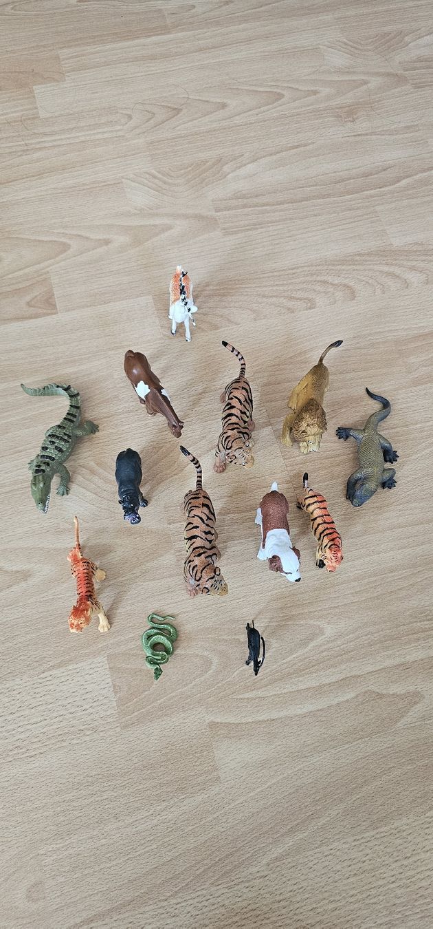 Schleich Giocattoli: Schleich Dinosaurier & Drache Sammlung + Tier-Set gratis – Usato da Beckenried venduto da san_27bd 1
